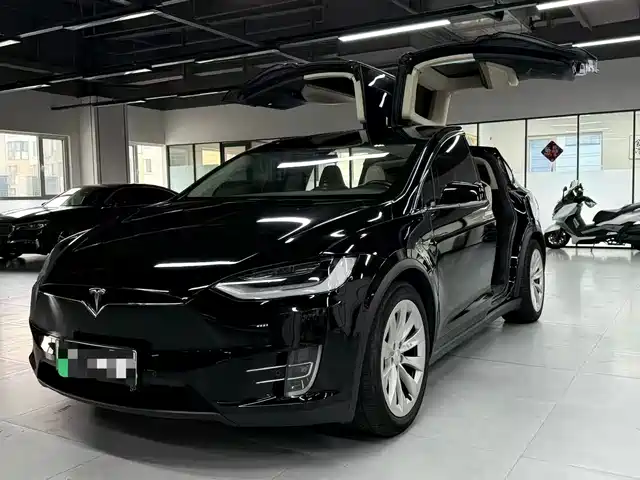TESLA MODEL X 2019