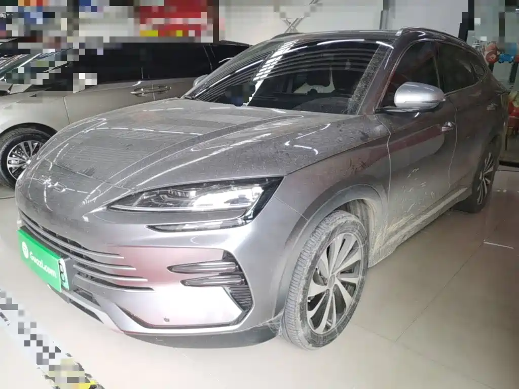 BYD PLUS New Energy — миниатюра 2