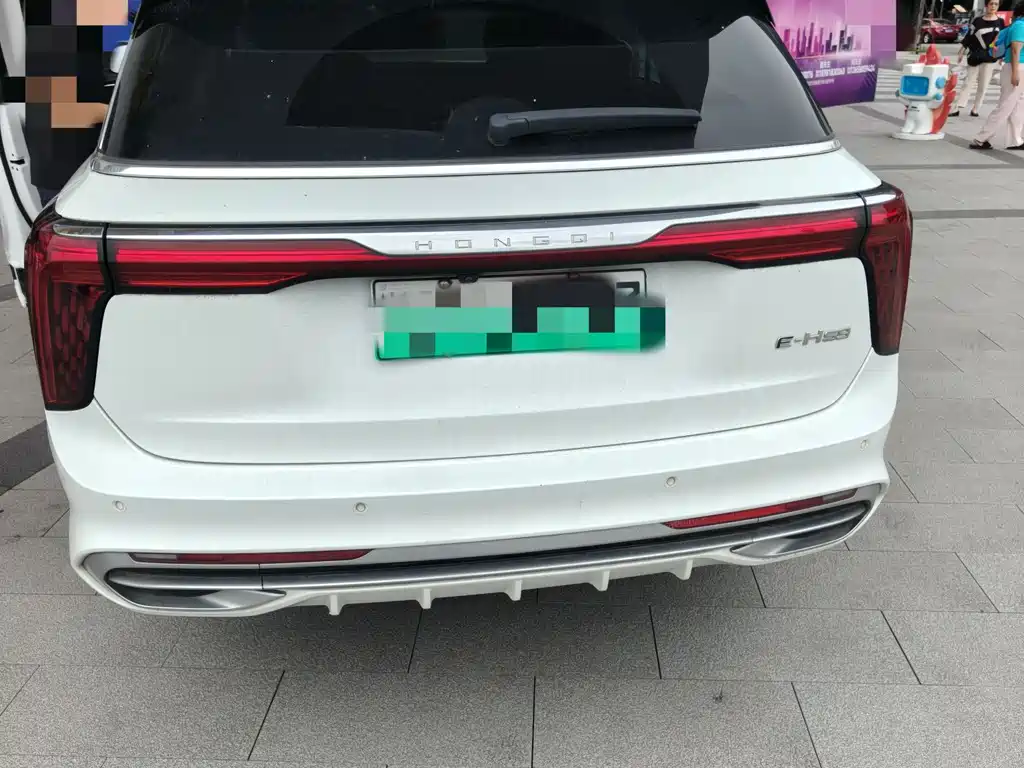 Hongqi E-HS9 2021 460km мест