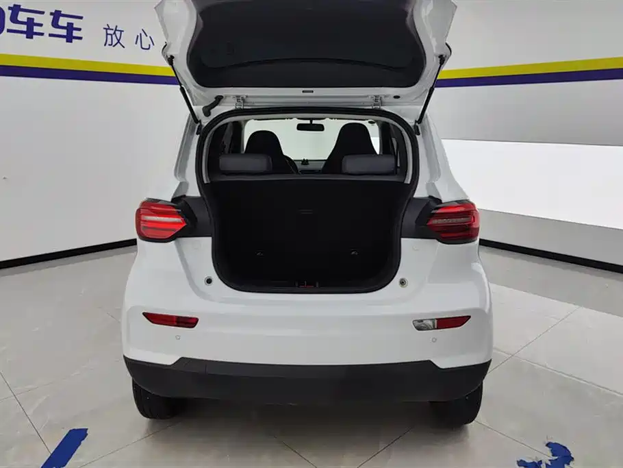 Leapmotor T03 2025 310