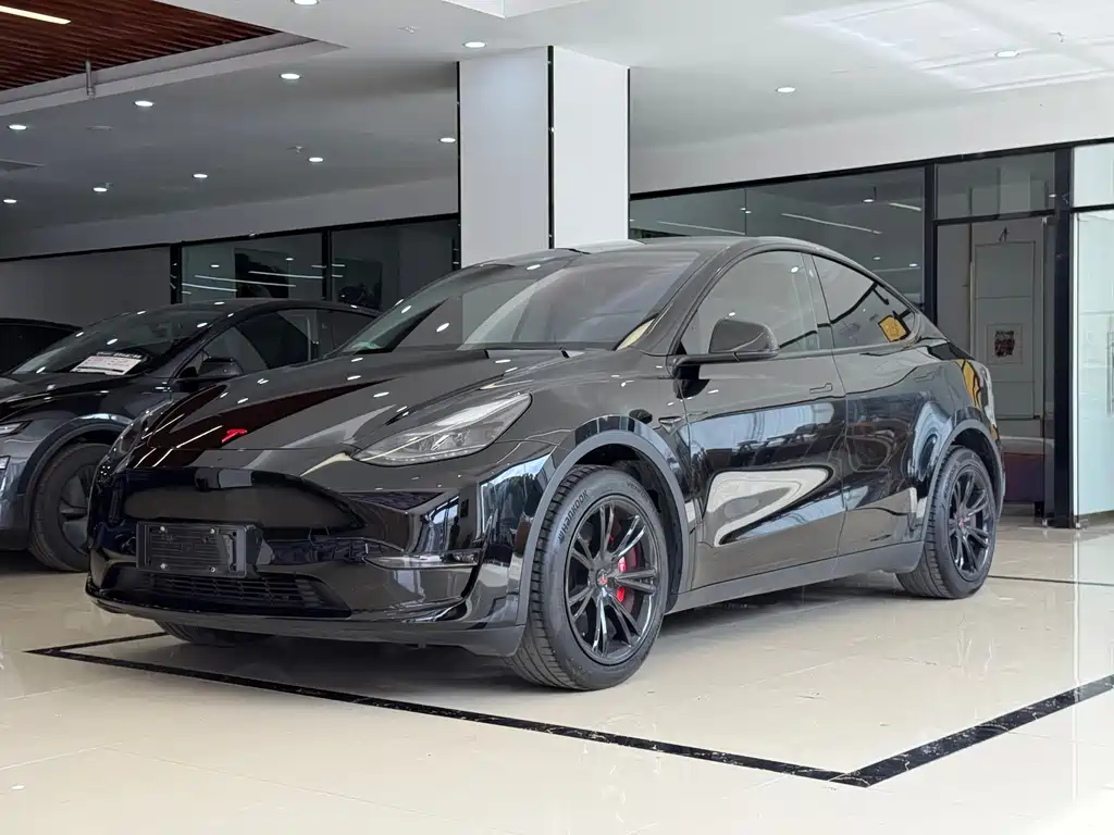 Tesla Model Y 2022 Long Range AWD Edition