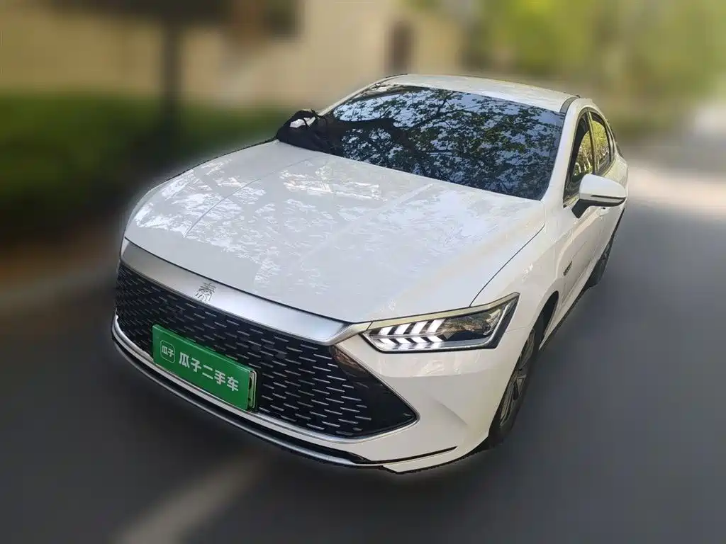 Byd Qin PLUS 2024