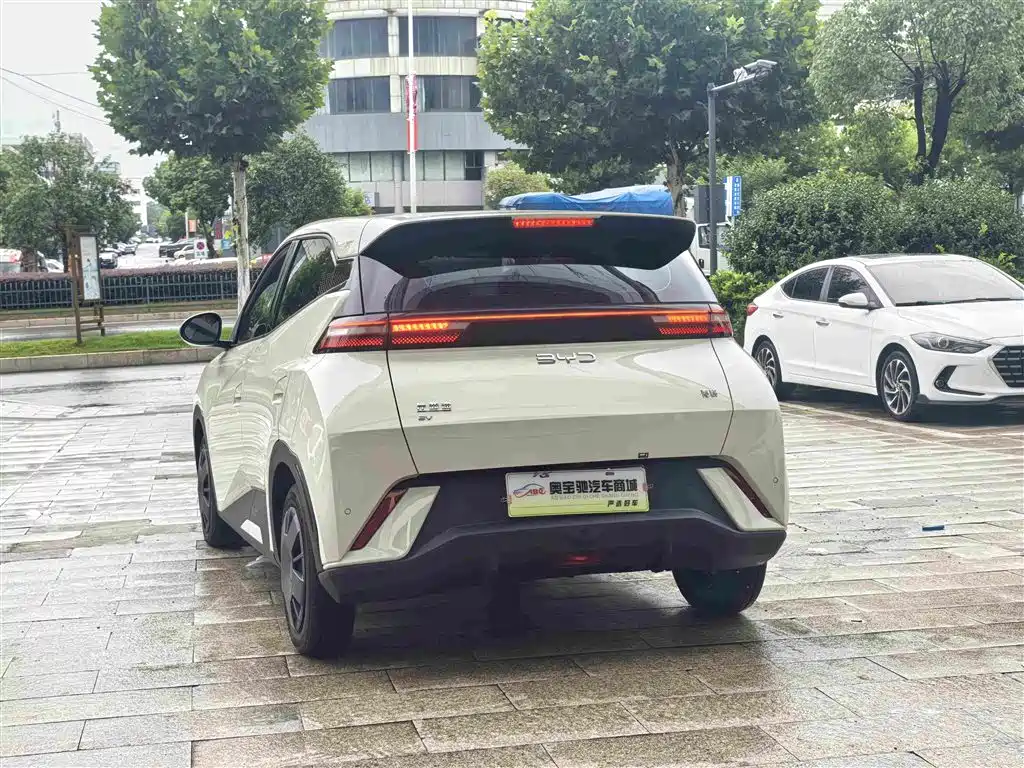 BYD Seagull 2024 305km