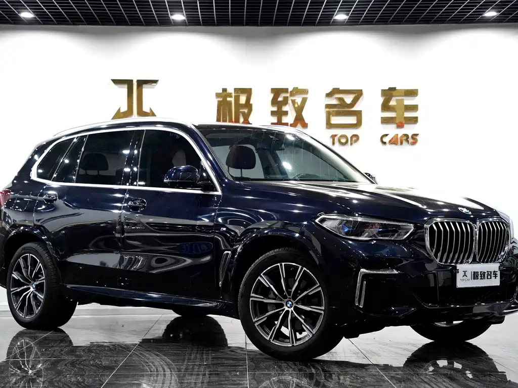 BMW X5 2023