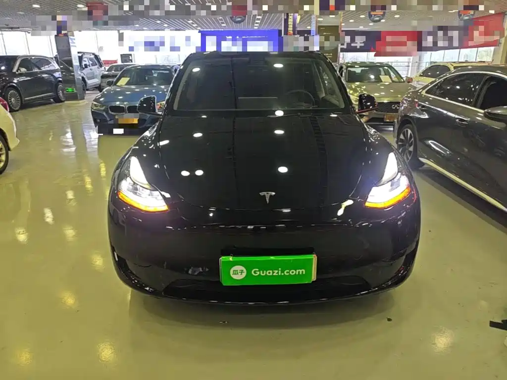 Tesla Model Y — миниатюра 3