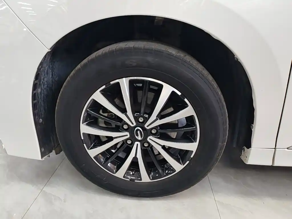 GAC Motor Trumpchi M8 — миниатюра 23