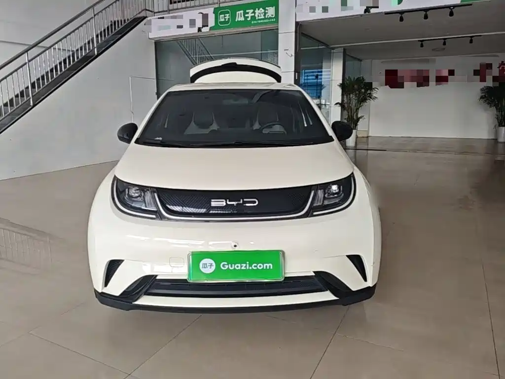 BYD Dolphin — миниатюра 3