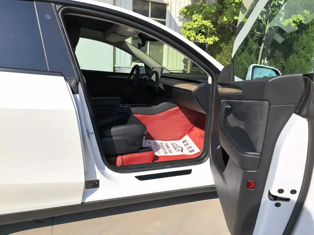 Tesla Model Y — миниатюра 12