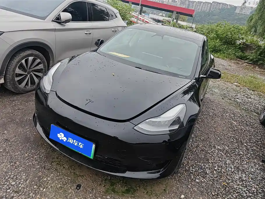 Tesla Model 3 2021