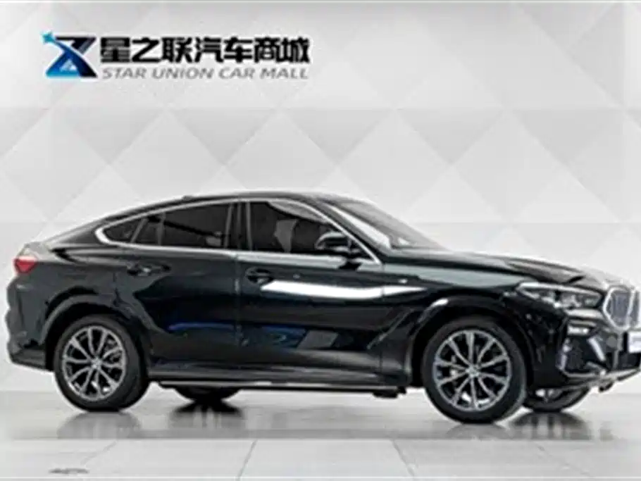 BMW X6 2021 xDrive30i M Sport