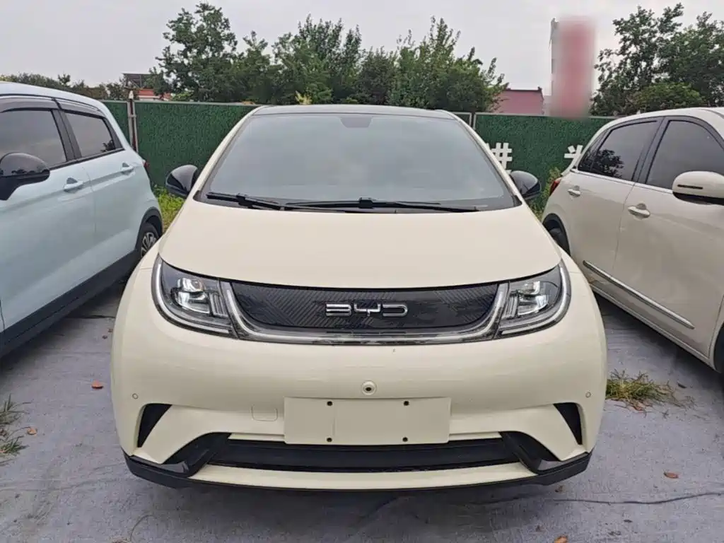 BYD Dolphin — миниатюра 3
