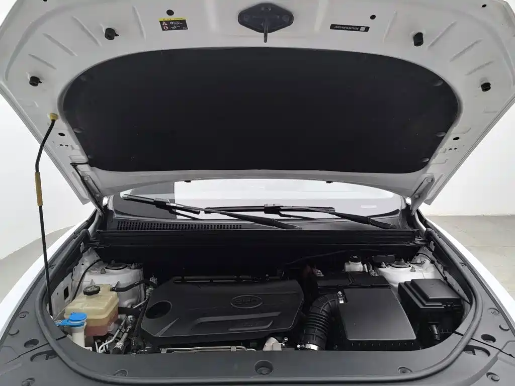 BYD Pro — миниатюра 6