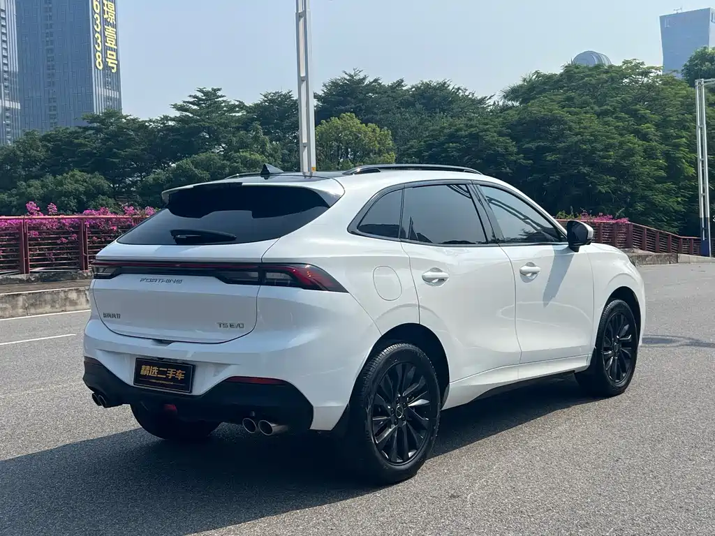 Fengxing Fengxing T5 EVO — миниатюра 20