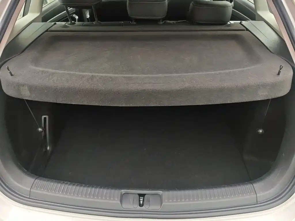 Volkswagen Gran Lavida — миниатюра 19