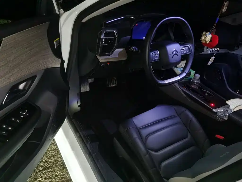 Citroen C5 X — миниатюра 12