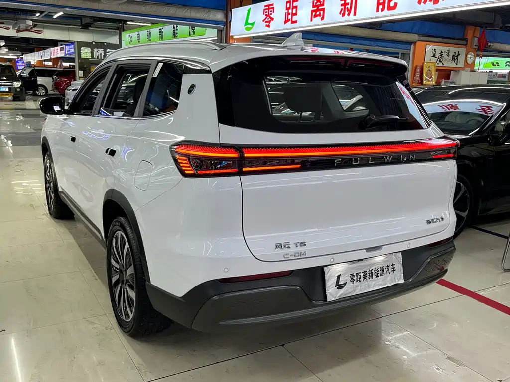 Fulwin Fengyun T8 — миниатюра 4
