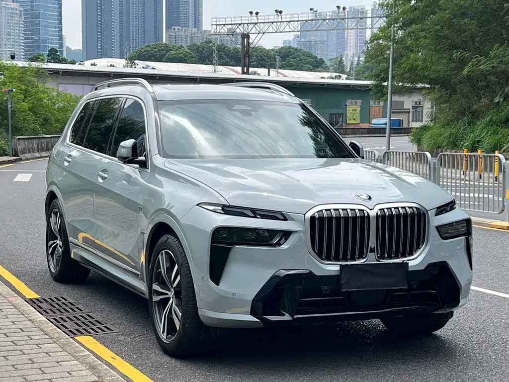 BMW X7 — миниатюра 3