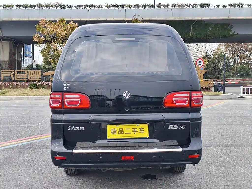 DONGFENG LINGZHI