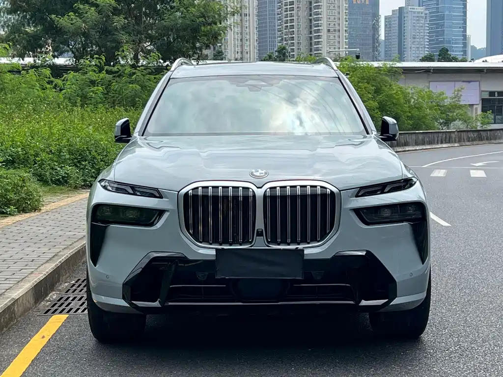 BMW X7 — миниатюра 2