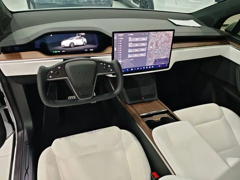Tesla Model X — миниатюра 10