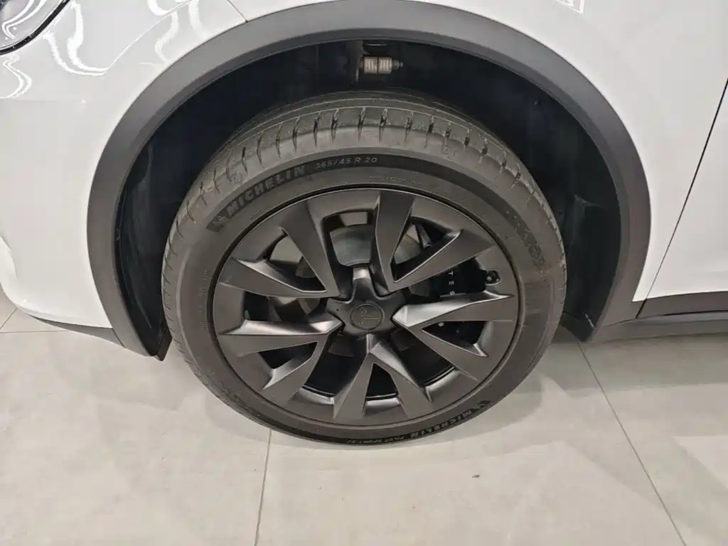 Tesla Model X — миниатюра 23