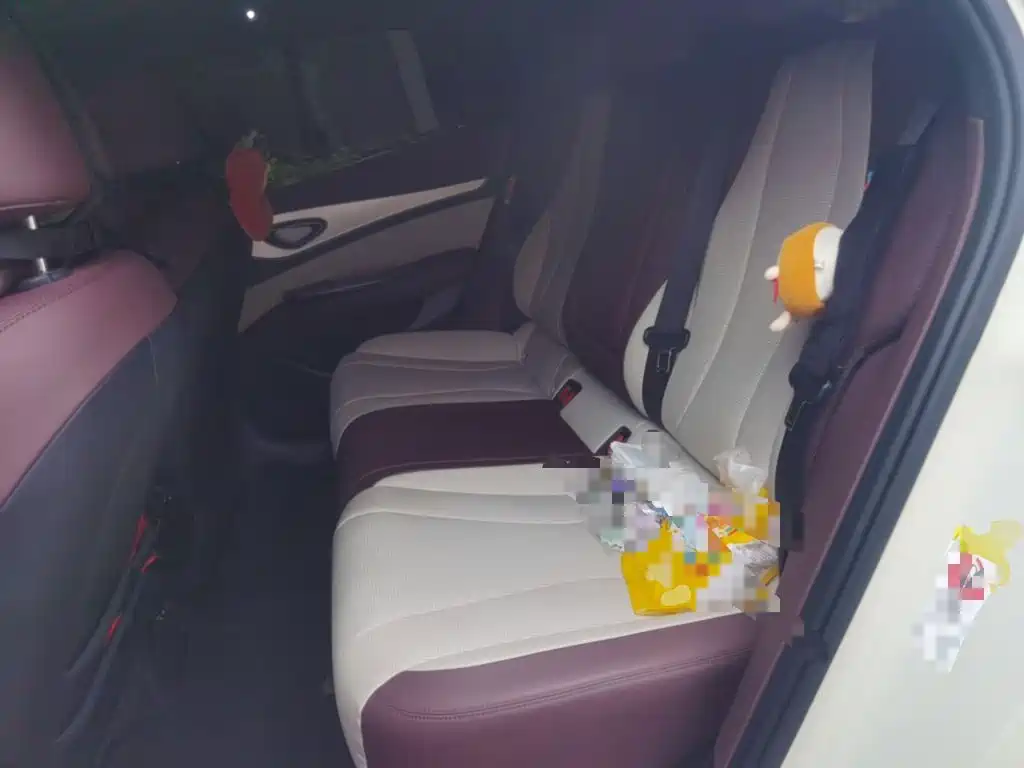 BYD Seal 07 DM-i — миниатюра 13