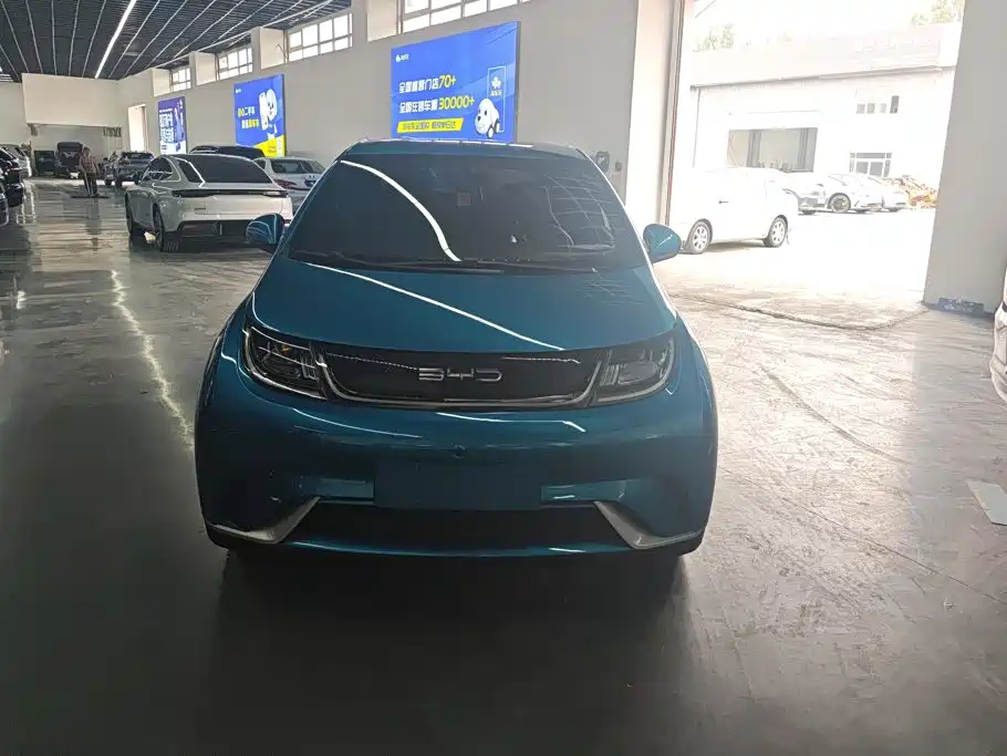 BYD Dolphin — миниатюра 2