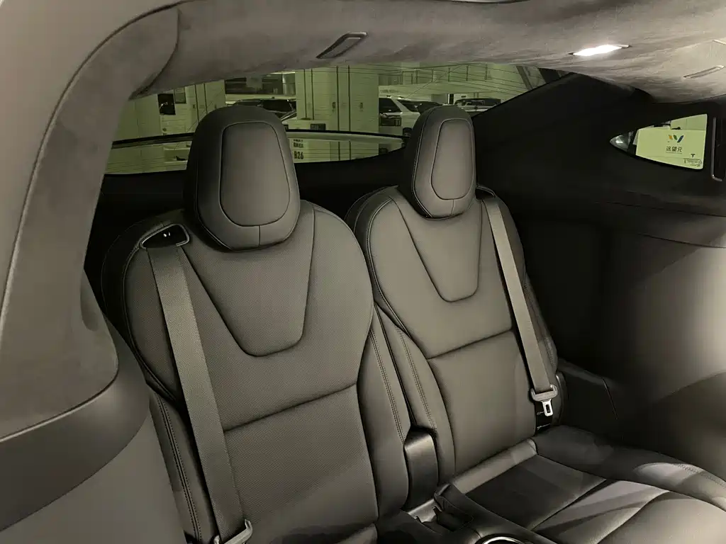 Tesla Model X — миниатюра 11