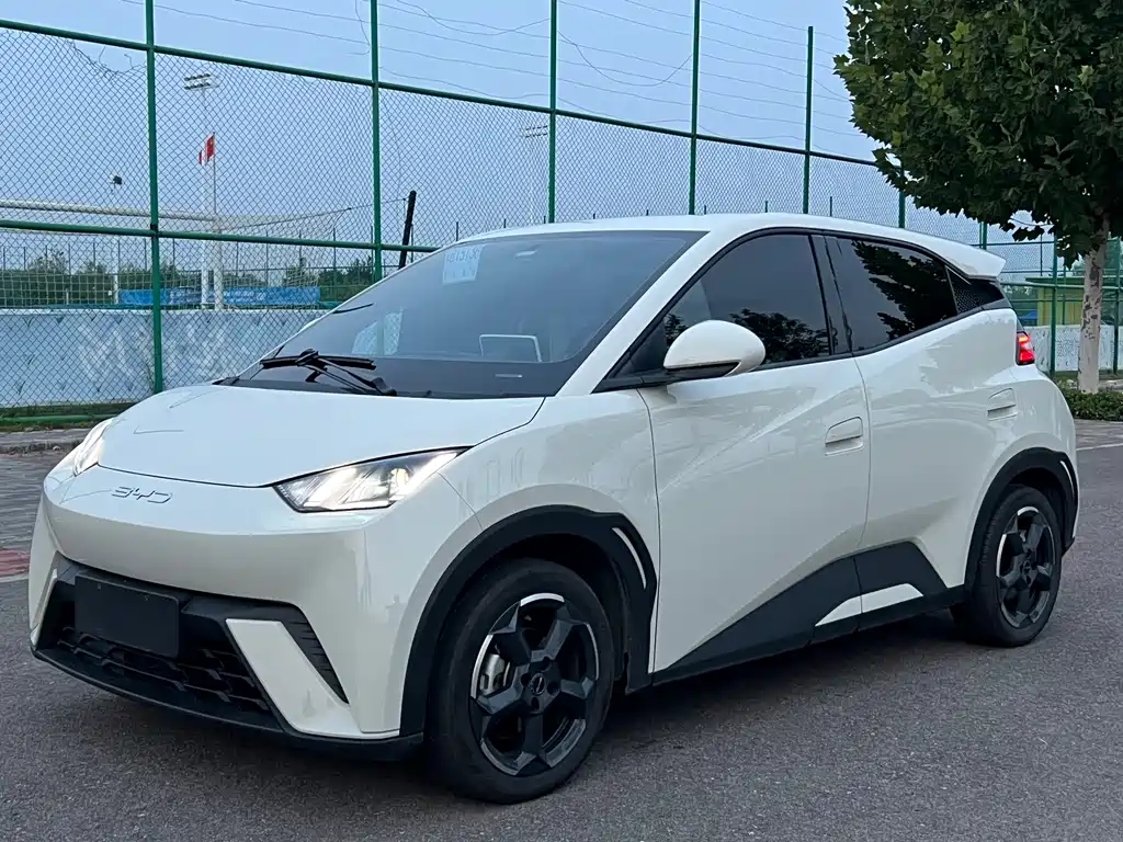 BYD Seagull