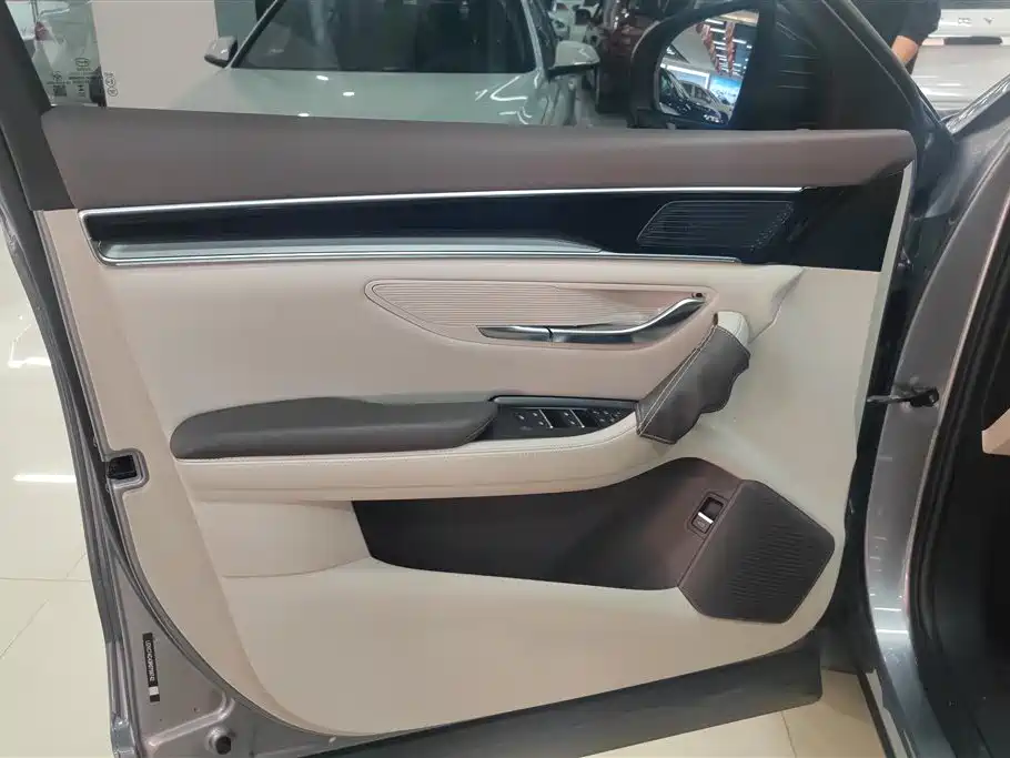 BYD SONGJIANG NEW ENERGY