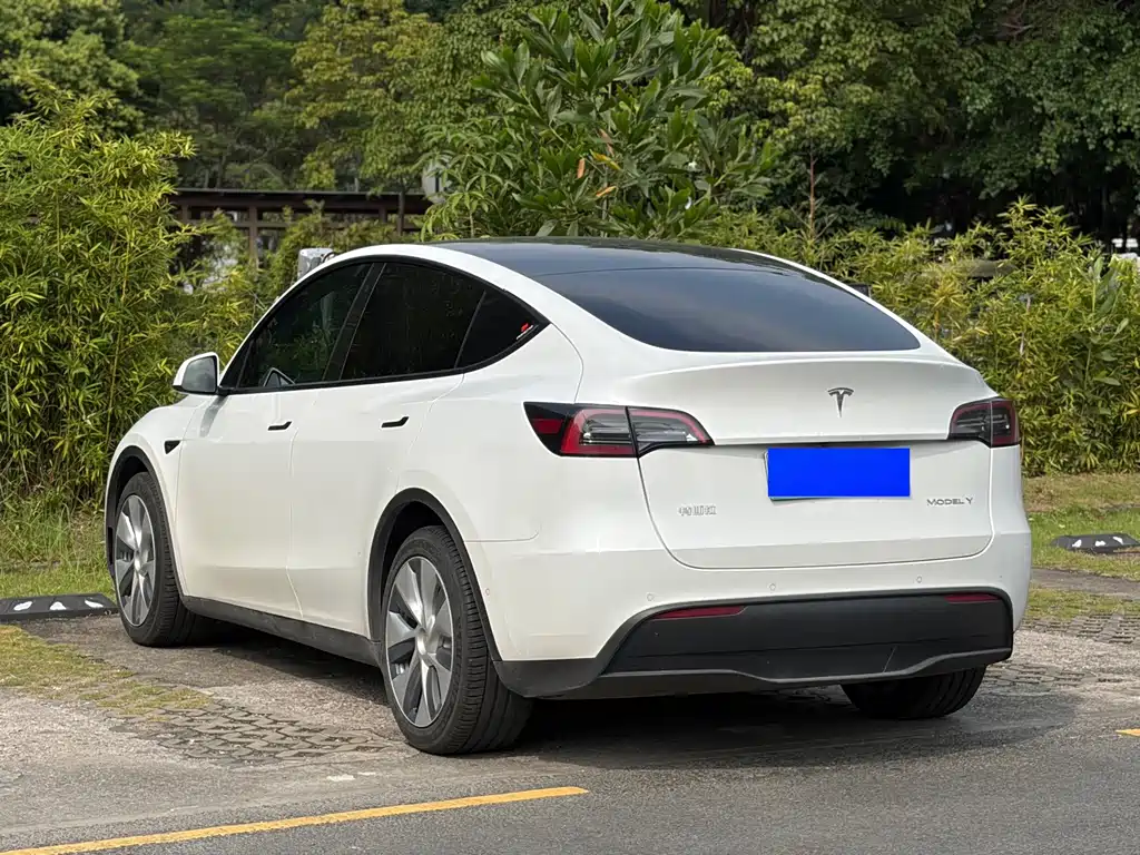 Tesla Model Y — миниатюра 11