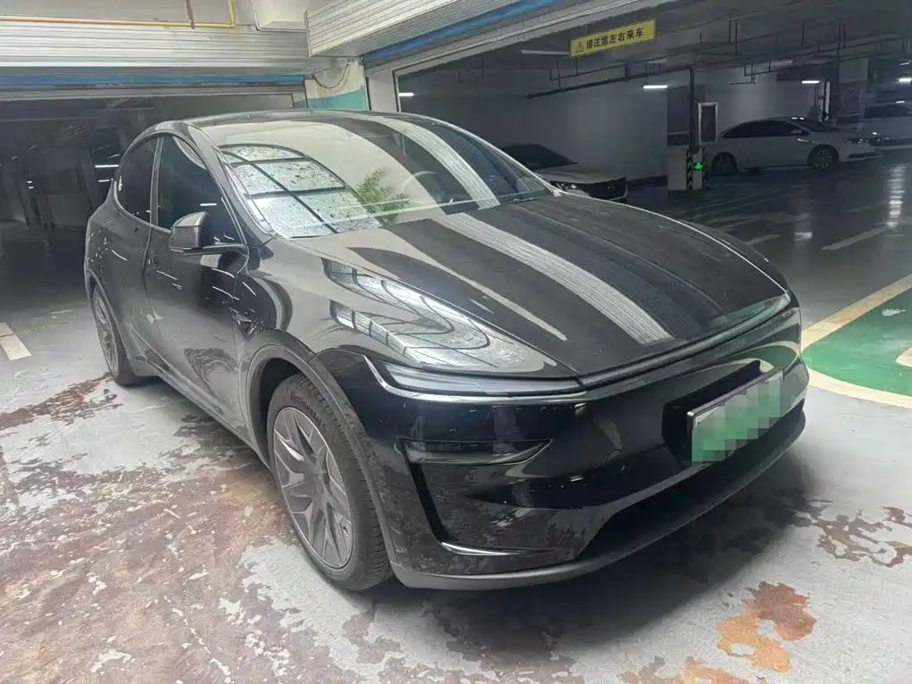 Tesla Model Y L — миниатюра 3