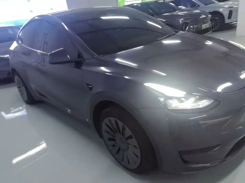 Tesla Model Y — миниатюра 4