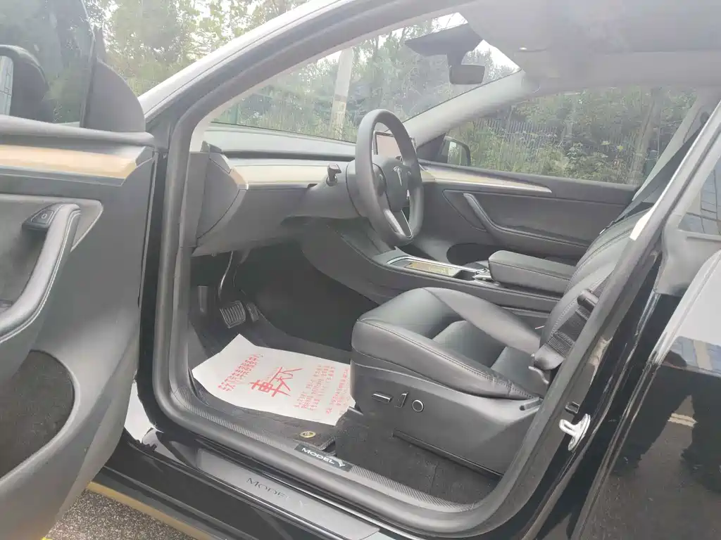 Tesla Model Y — миниатюра 9