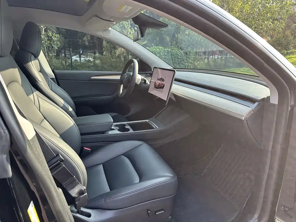Tesla Model Y — миниатюра 6