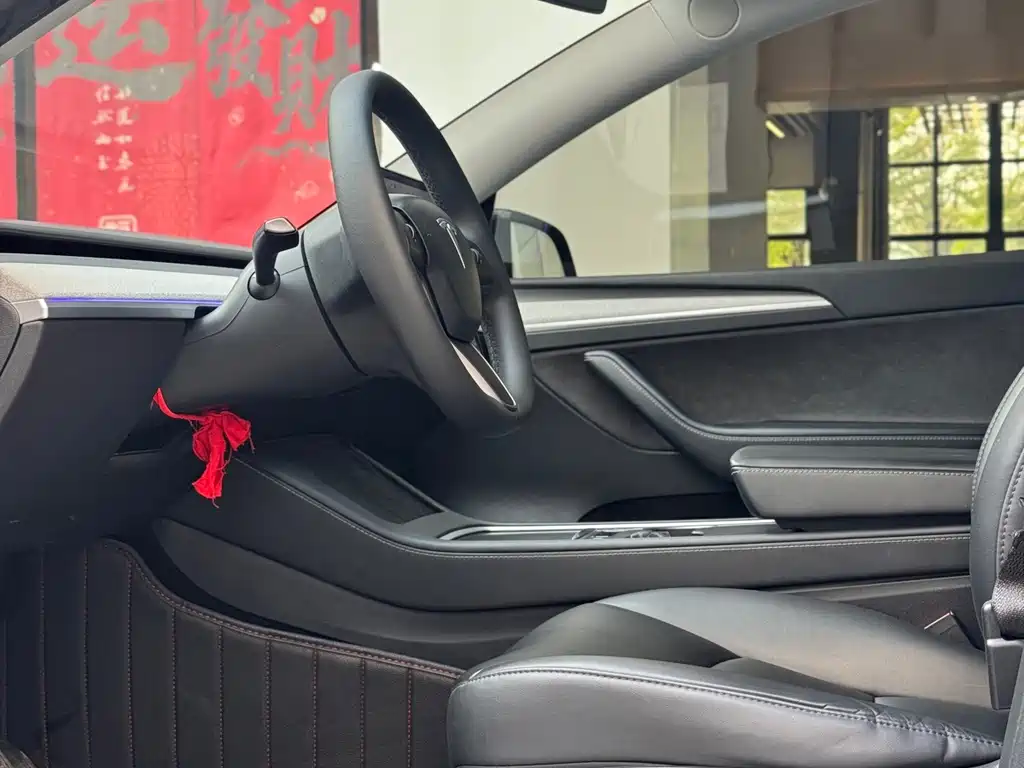 Tesla Model Y — миниатюра 6