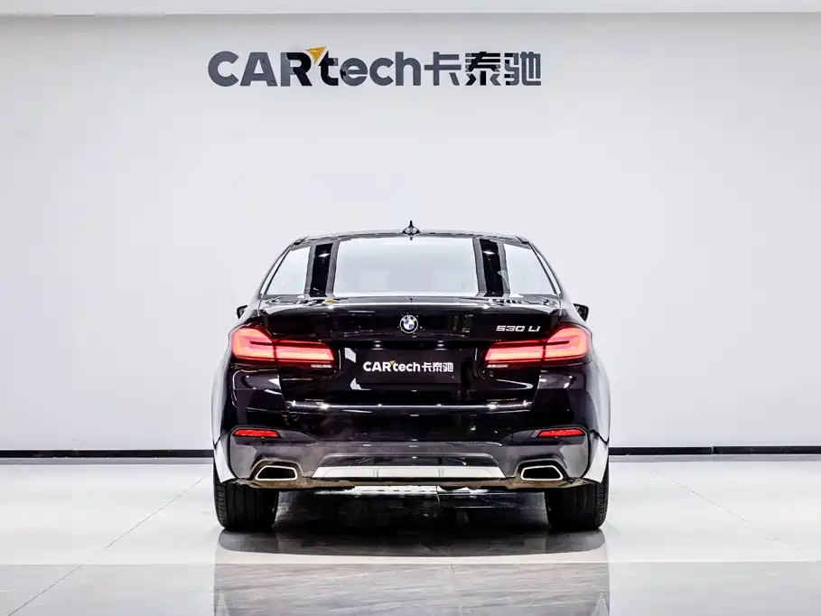 BMW 5 Series — миниатюра 5