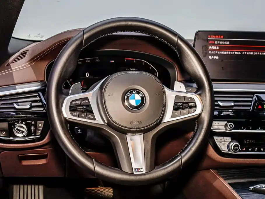 BMW 5 Series — миниатюра 24