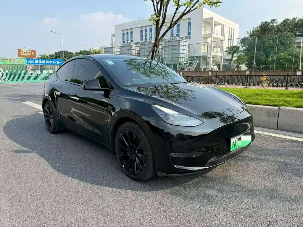 Tesla Model Y — миниатюра 3