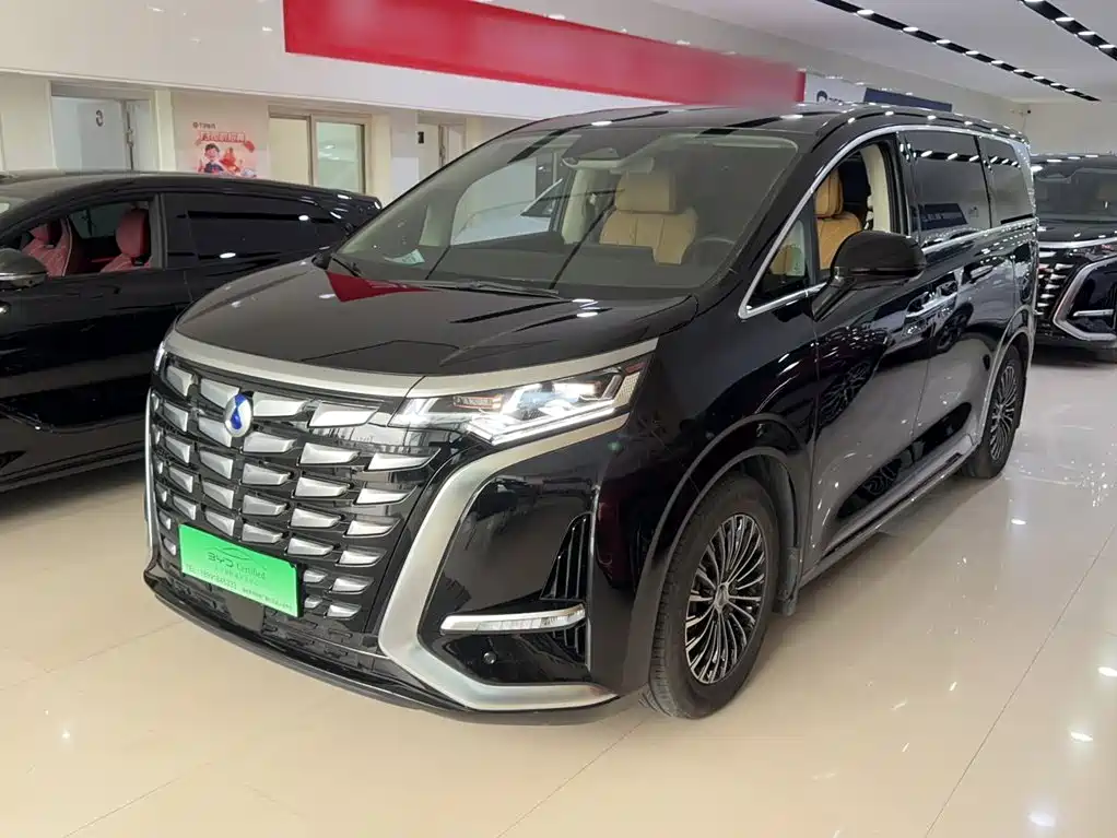 Denza Denza D9 — миниатюра 2