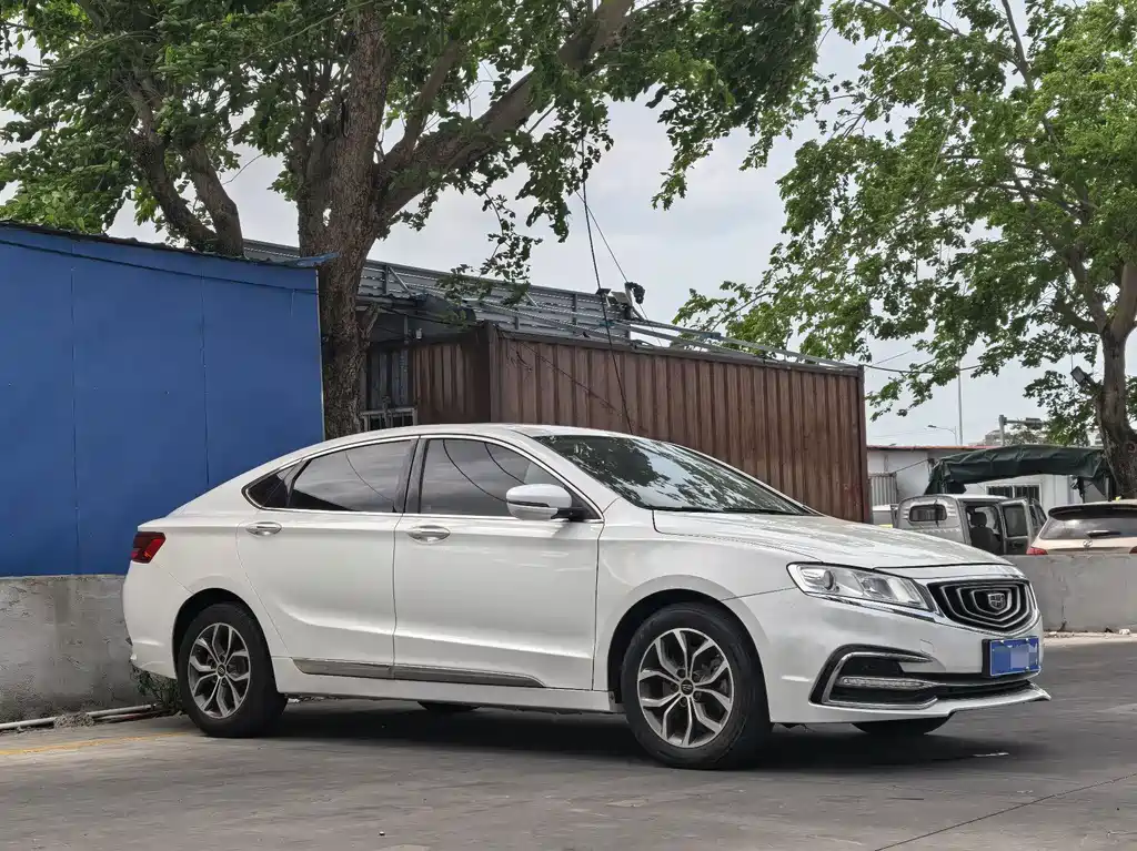 Geely Borui 2.4L Elegant Type, фото 3