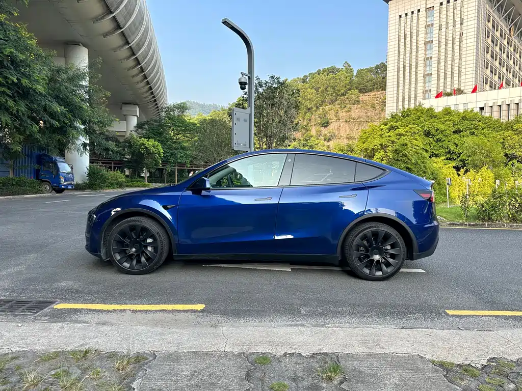 Tesla Model Y — миниатюра 3