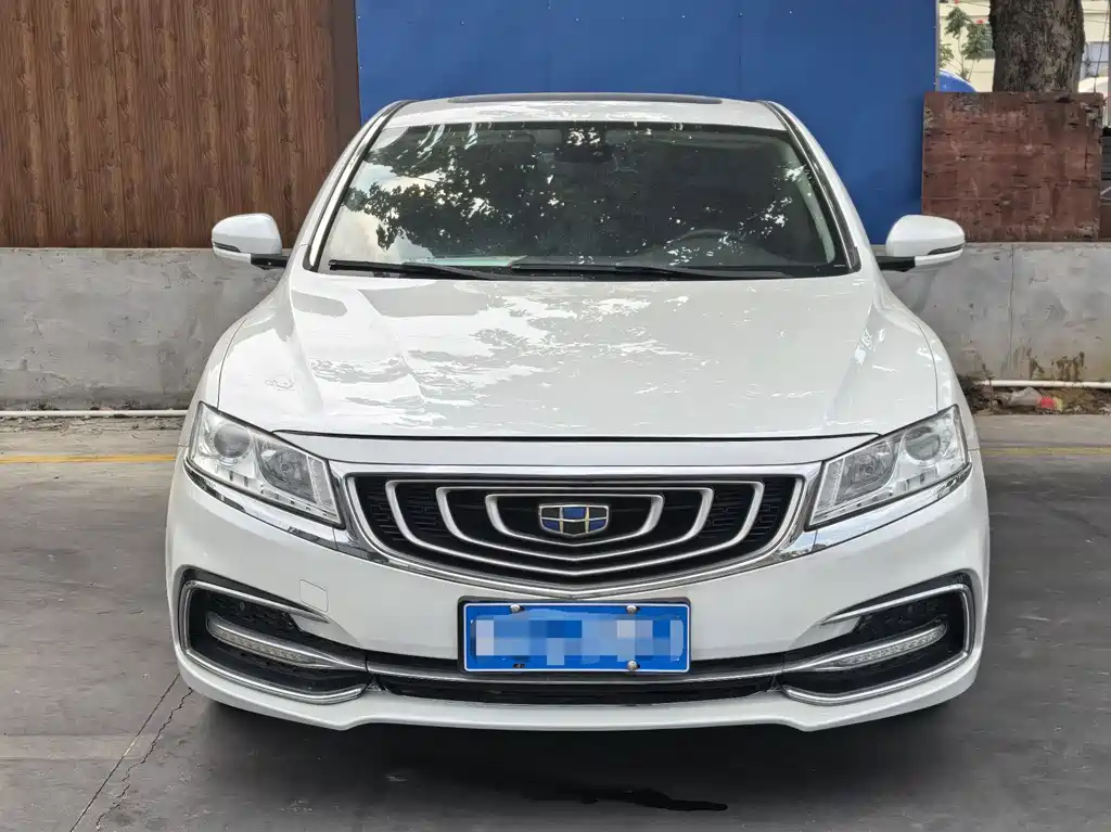 Geely Borui 2.4L Elegant Type, фото 2