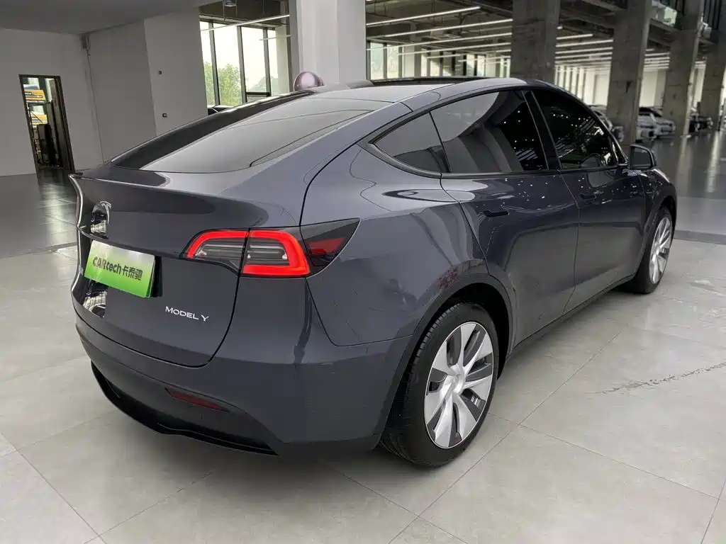 Tesla Model Y — миниатюра 4