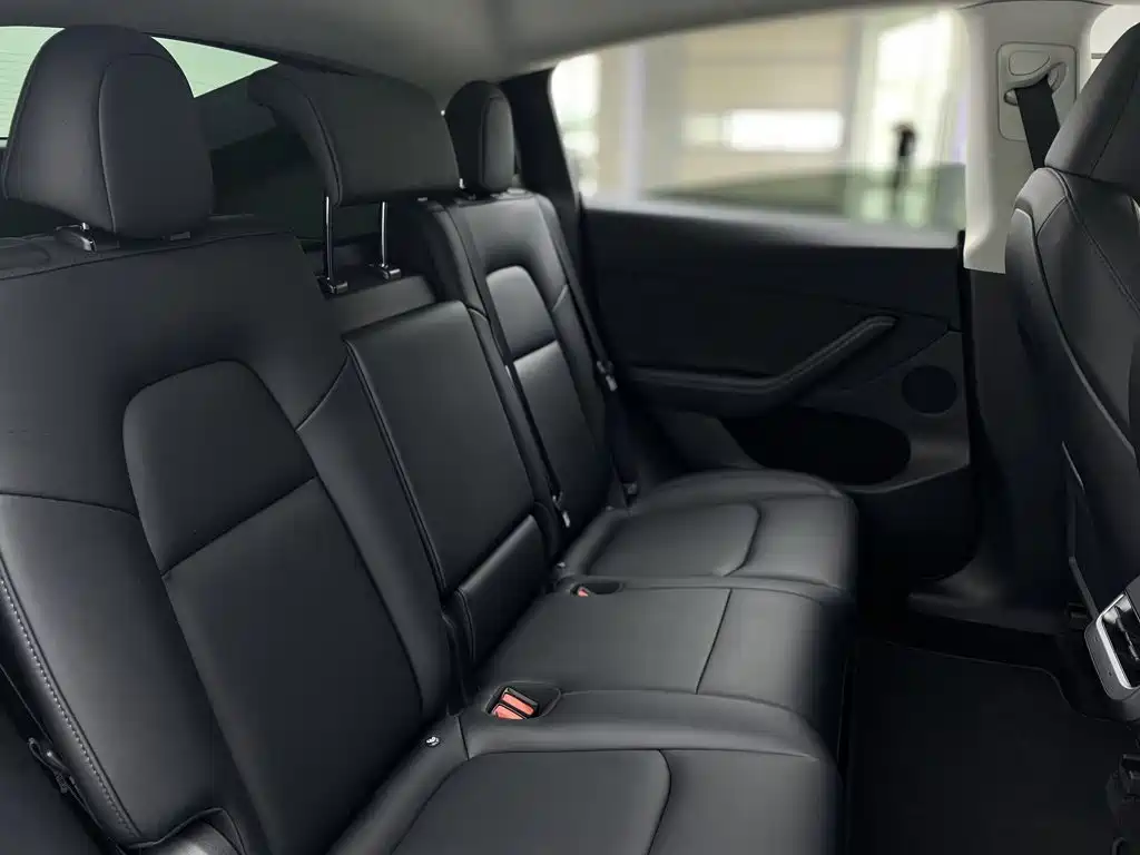 Tesla Model Y — миниатюра 25