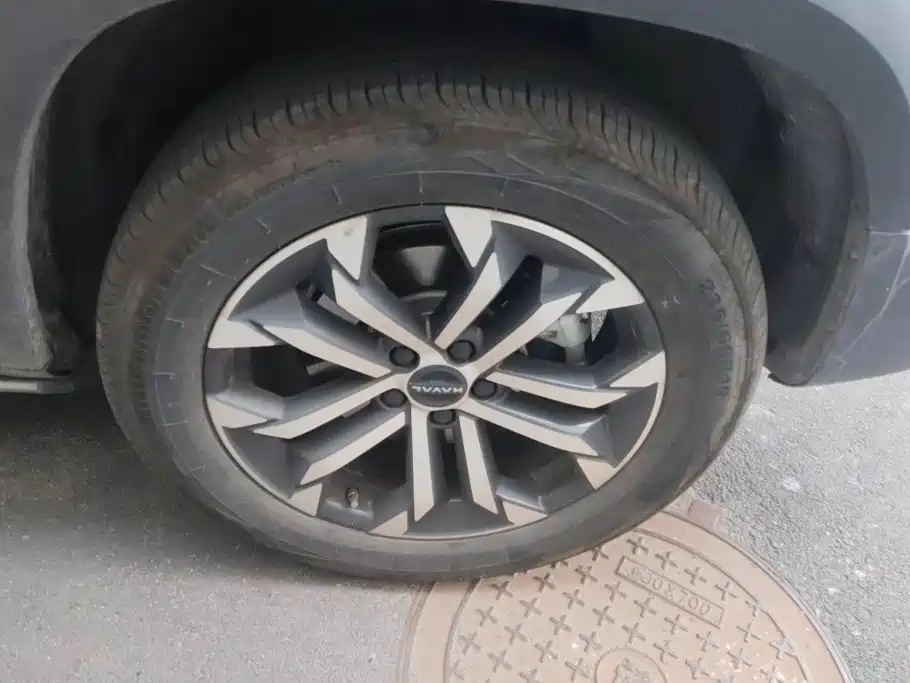 Haval Big Dog — миниатюра 6