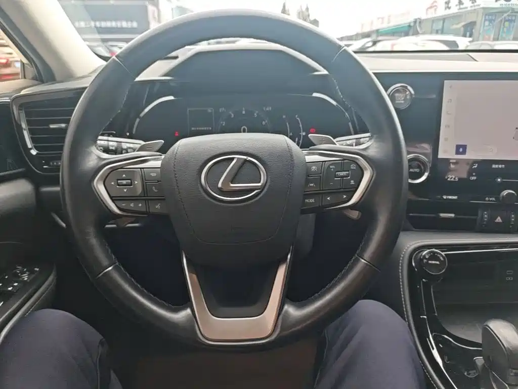 Lexus NX — миниатюра 11