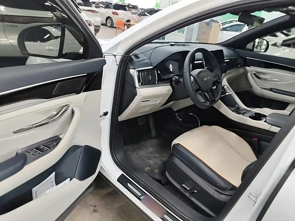 BYD PLUS New Energy — миниатюра 16