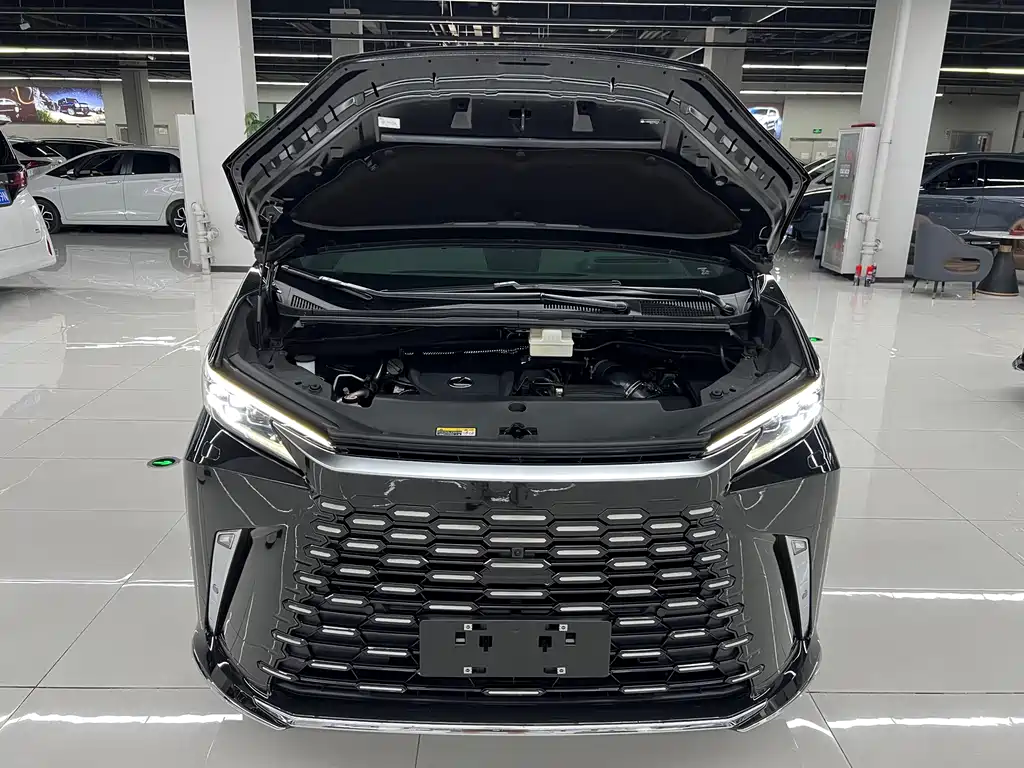 Lexus LM — миниатюра 27