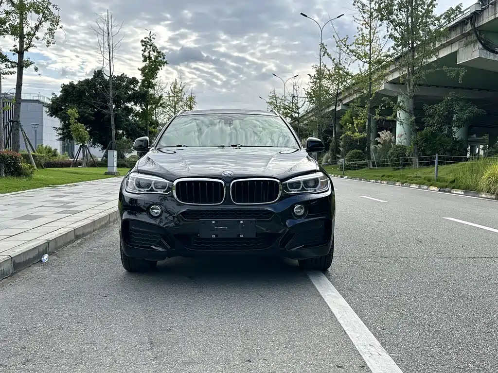 BMW X6 — миниатюра 2